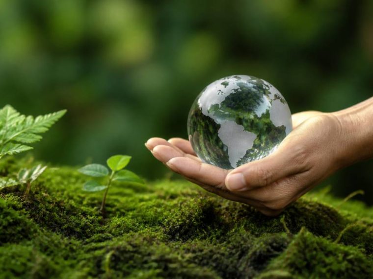 17 objectifs de développement durable pdf : définition, enjeux et usages en entreprise